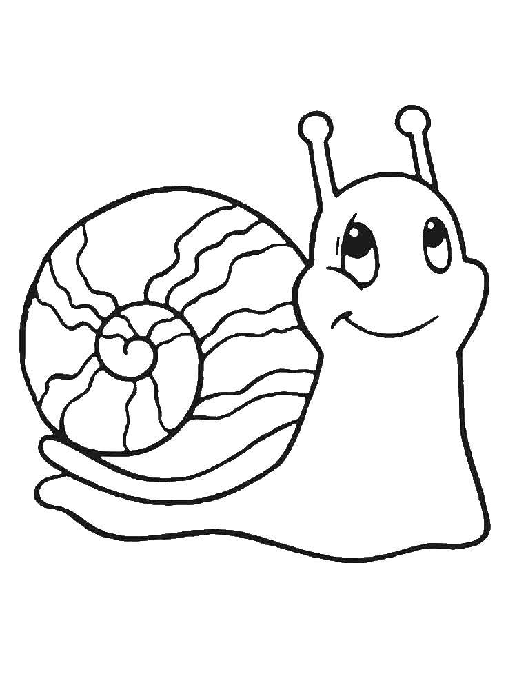 Coloring Cute snail. Category snail. Tags:  Snail.