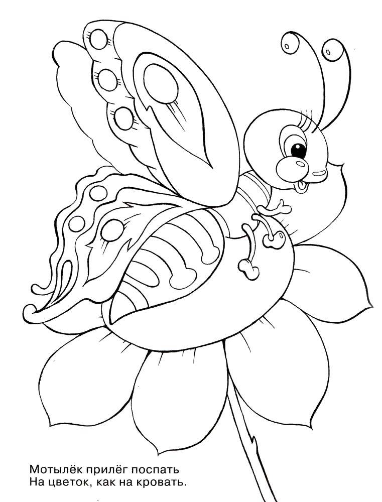 Coloring Moth. Category Insects. Tags:  Insects, moth.