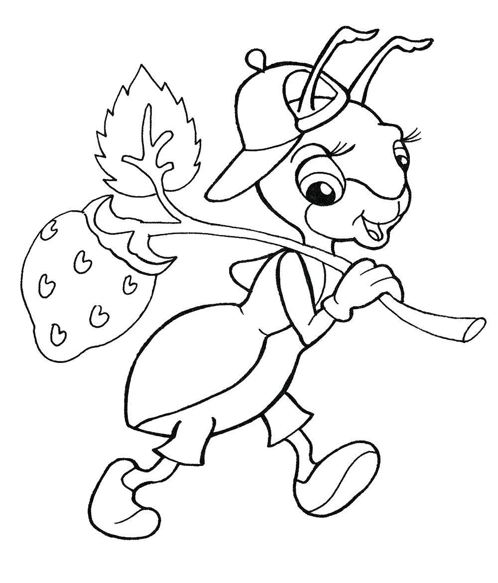 Coloring Ant carrying a strawberry. Category coloring. Tags:  Insects, ant.
