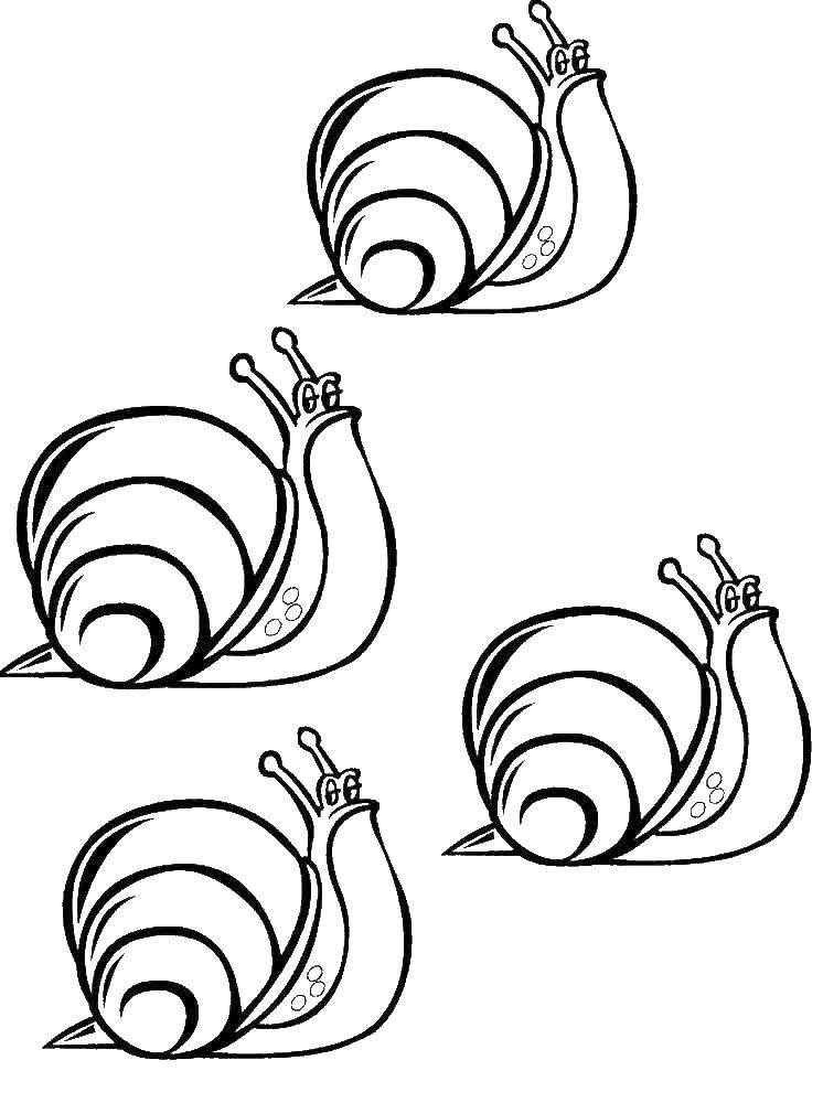 Coloring Serious snail. Category snail. Tags:  Snail.