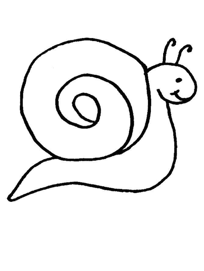 Coloring Snail. Category snail. Tags:  Snail.