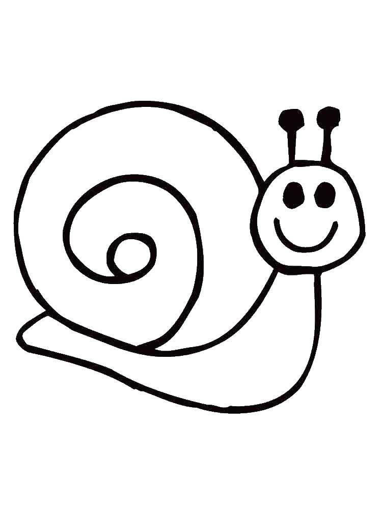Coloring Snail. Category snail. Tags:  Snail.