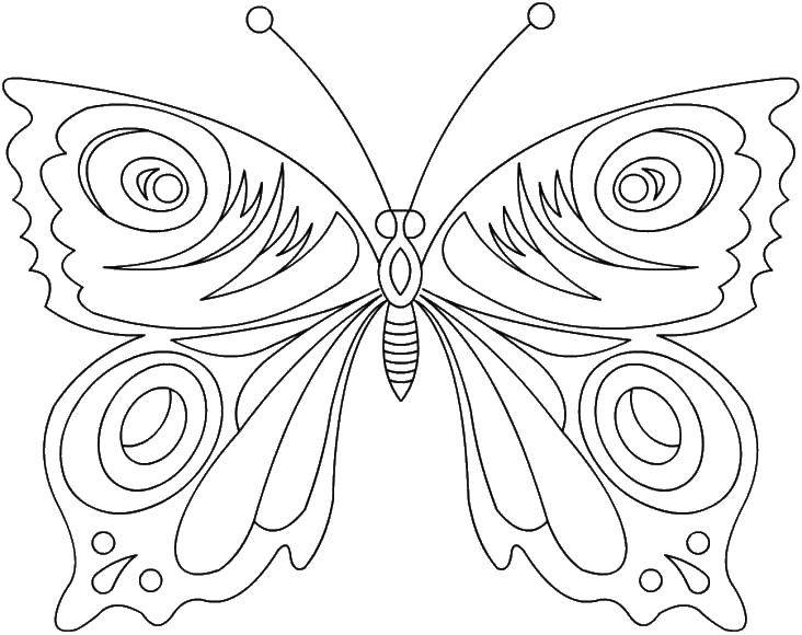 Coloring Butterfly. Category butterfly. Tags:  Butterfly.