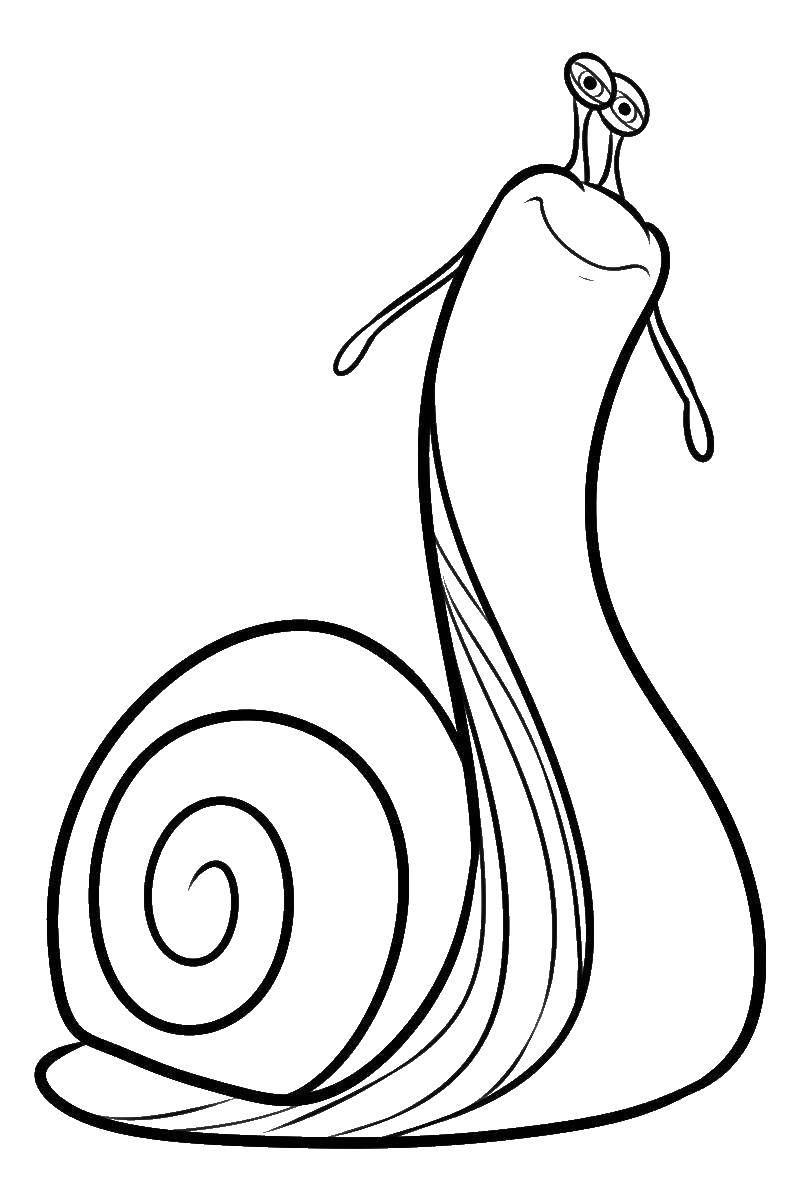 Coloring Big snail. Category snail. Tags:  Snail.