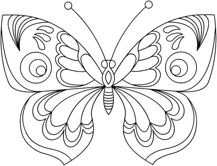 Coloring Beautiful butterfly. Category butterfly. Tags:  Butterfly.