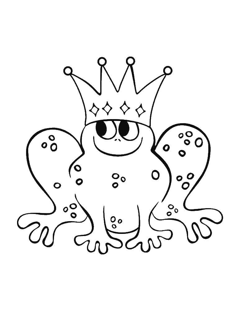 Coloring Frog with crown. Category the frog. Tags:  Frog, pond, crown.