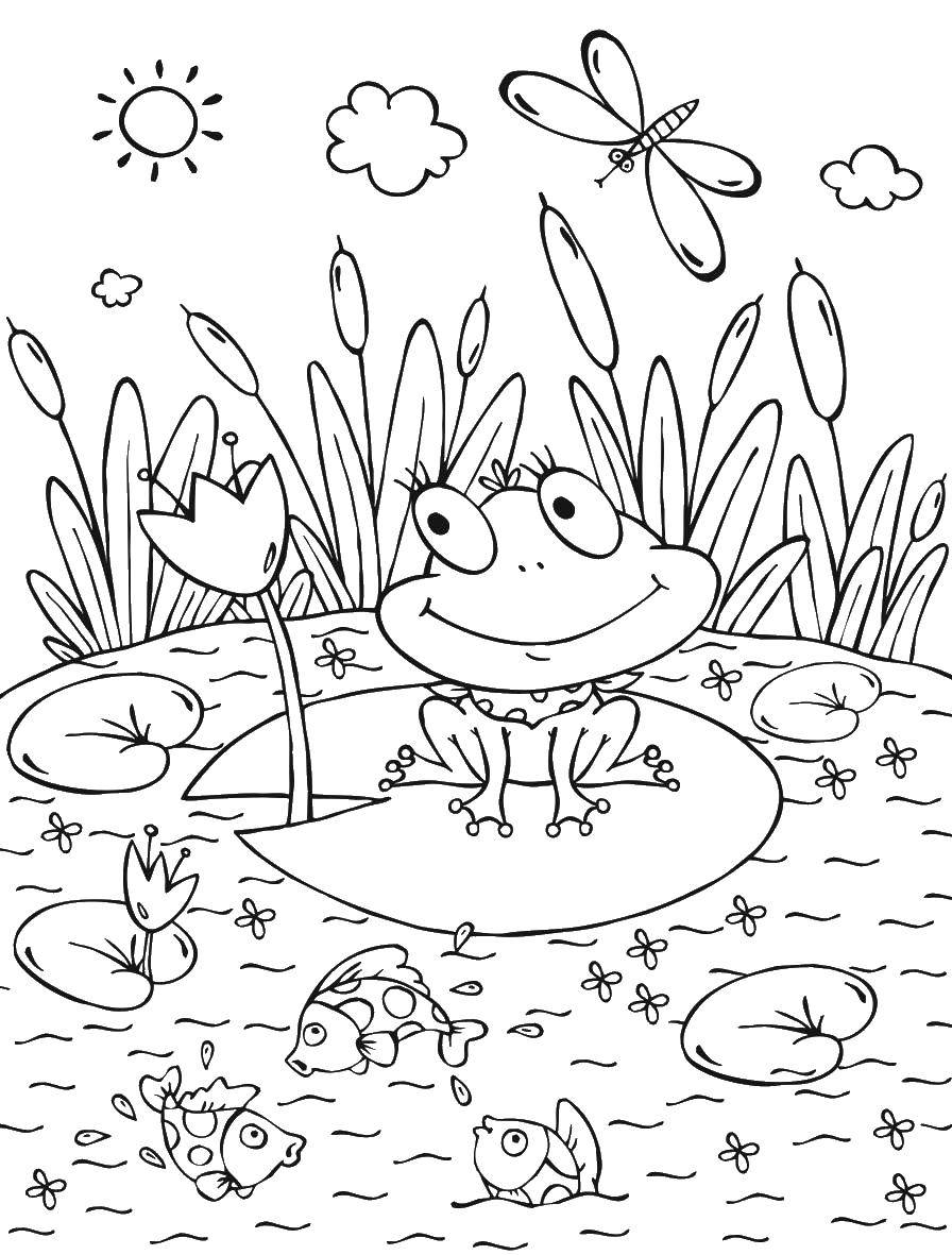 Название: Раскраска Лягушка в пруду. Категория: лягушка. Теги: Лягушка, пруд.
