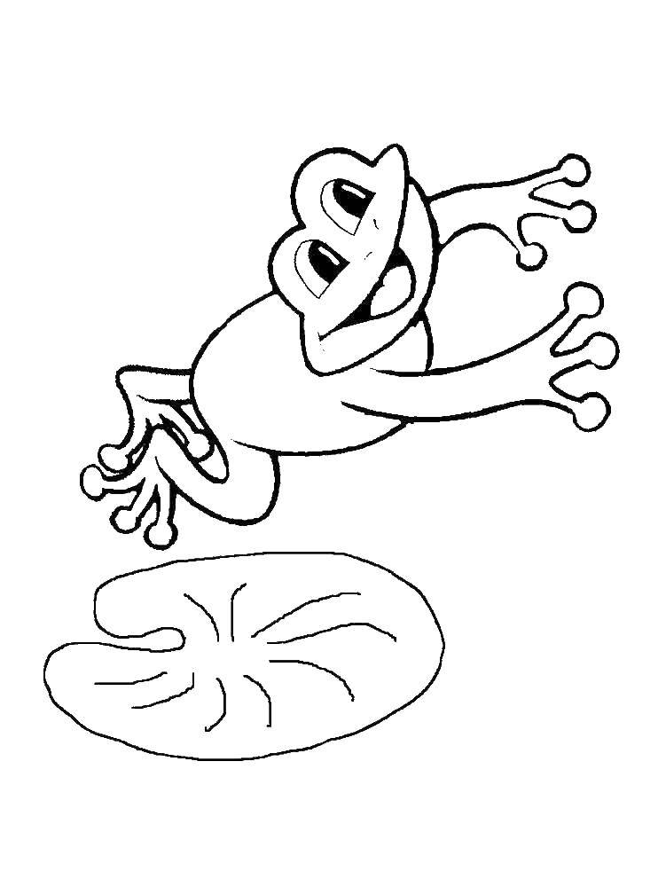 Название: Раскраска Лягушка в пруду. Категория: лягушка. Теги: Лягушка, пруд.