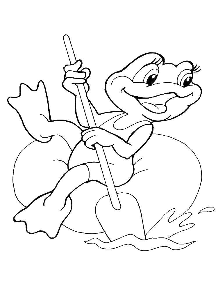 Coloring The frog floats. Category the frog. Tags:  Reptile, frog.