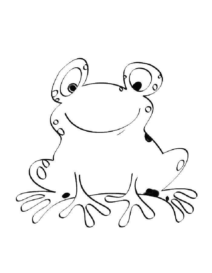 Coloring Cute frog. Category the frog. Tags:  Reptile, frog.