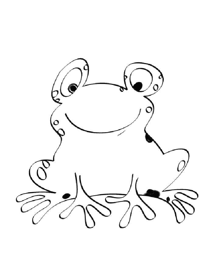 Coloring Cute frog. Category the frog. Tags:  Reptile, frog.