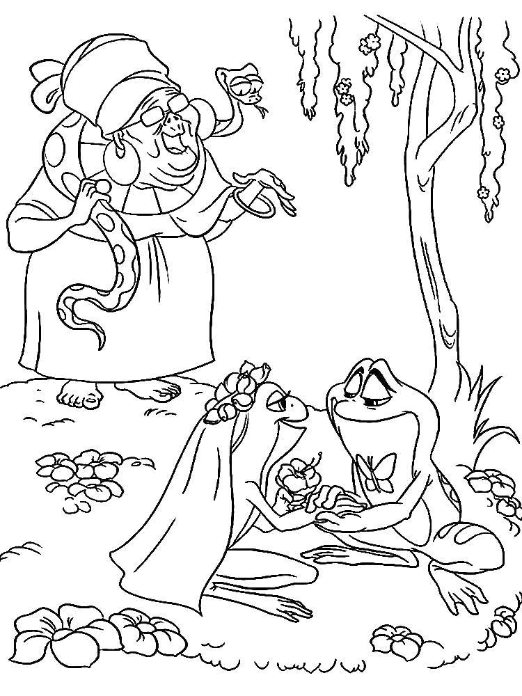Coloring The Princess and the Prince frog. Category the Princess frog. Tags:  the frog Princess, the Prince.