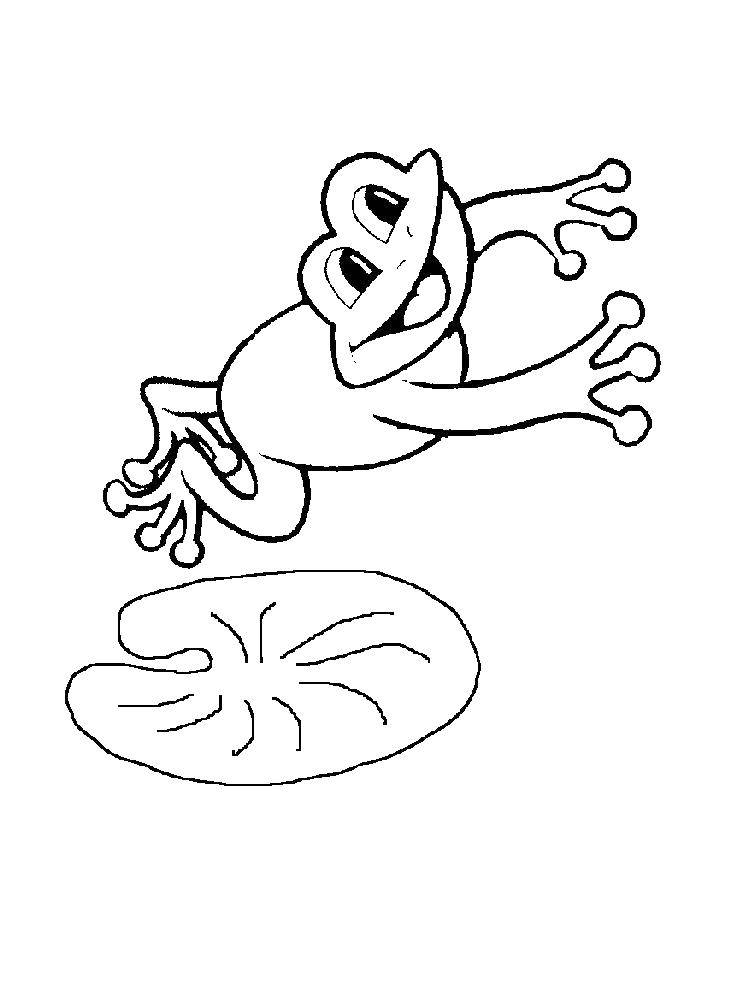 Название: Раскраска Прыгающая лягушка. Категория: лягушка. Теги: Рептилия, лягушка.