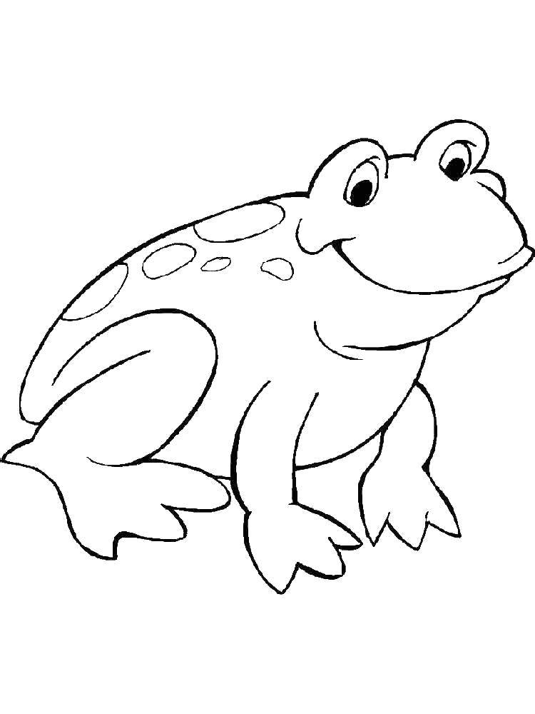 Название: Раскраска Пятнистая лягушка. Категория: лягушка. Теги: Рептилия, лягушка.