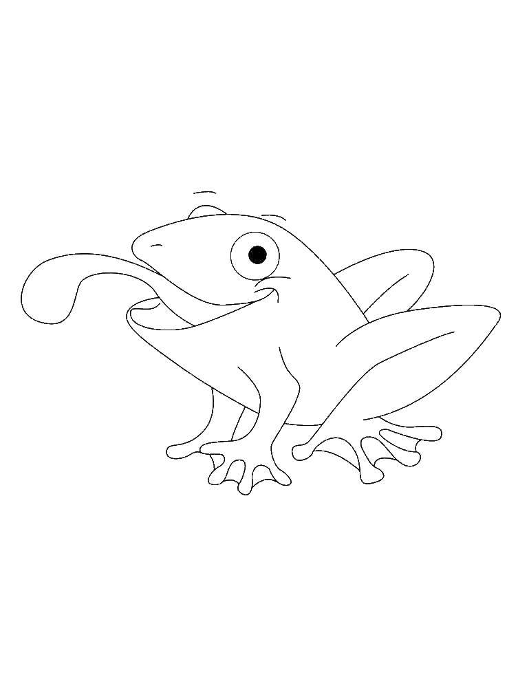Название: Раскраска Смешная лягушка. Категория: лягушка. Теги: Рептилия, лягушка.