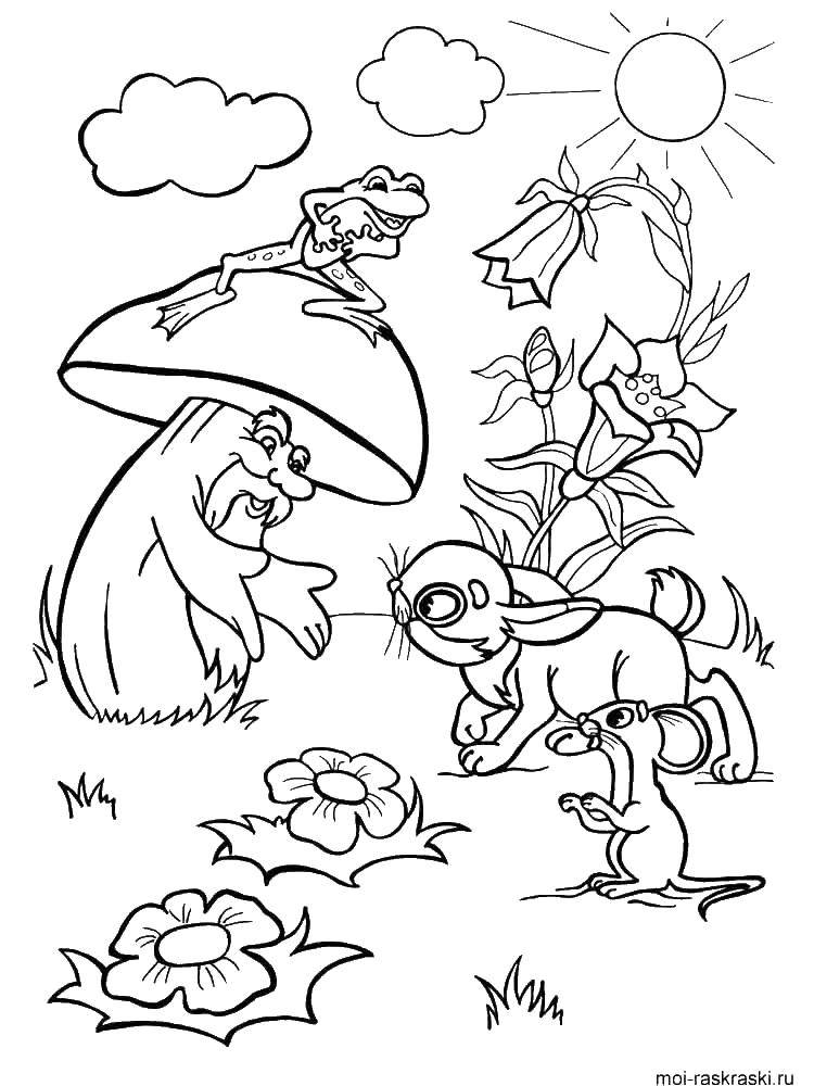 Название: Раскраска Животные играют с грибом. Категория: грибы. Теги: грибы, животные.