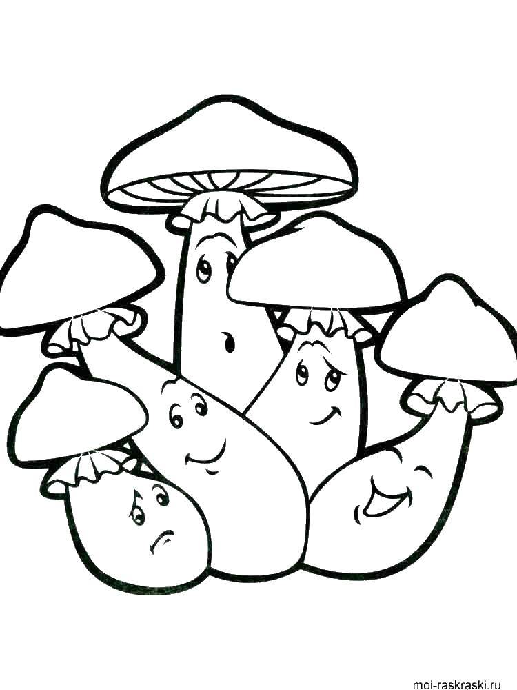 Название: Раскраска Грибочки. Категория: грибы. Теги: грибы.