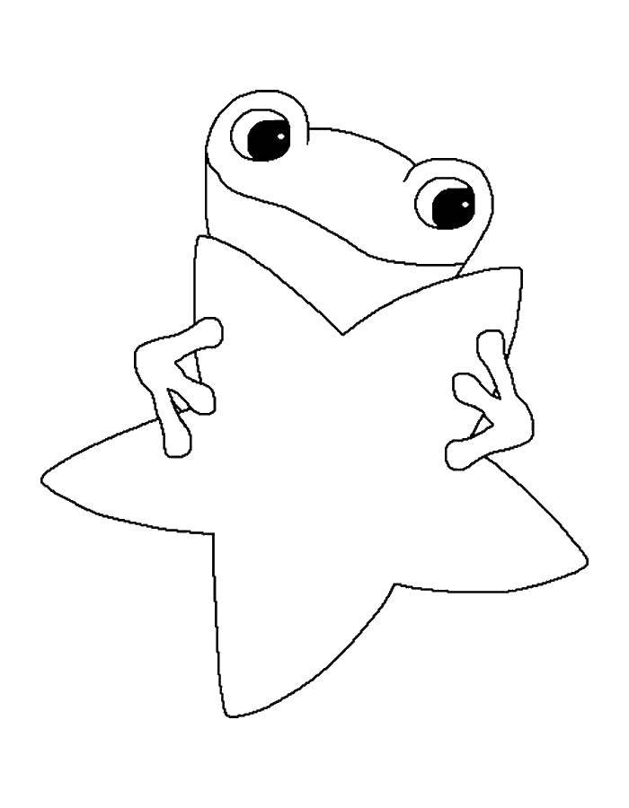 Название: Раскраска Лягушка со звездой. Категория: лягушка. Теги: лягушка, звезда.