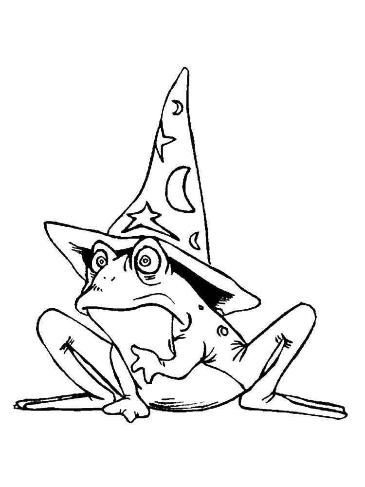 Coloring The frog in the hat. Category the frog. Tags:  frog, dome.