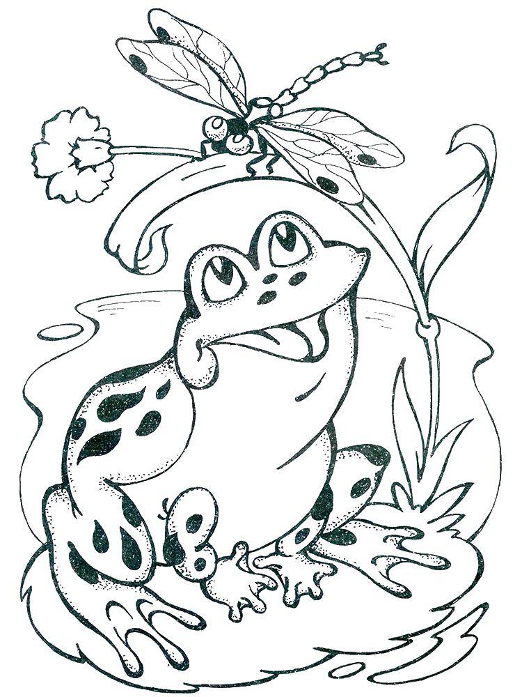 Coloring Frog in the pond. Category the frog. Tags:  The frog pond.