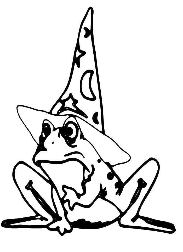 Coloring The frog wizard. Category the frog. Tags:  Reptile, frog.