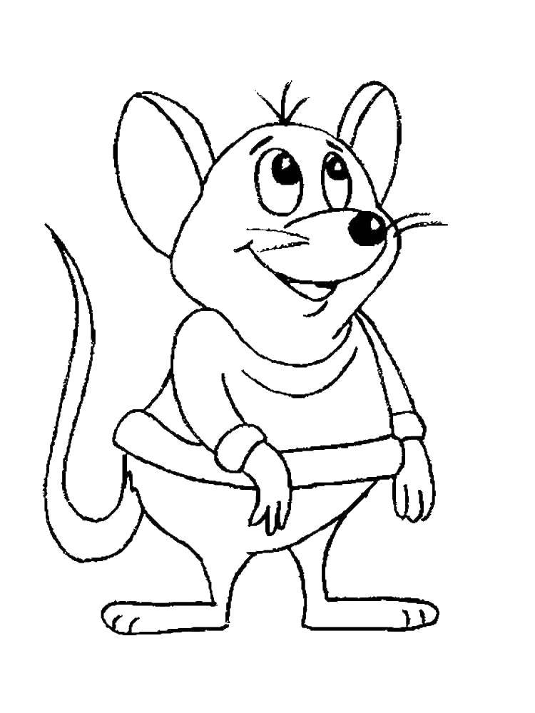 Название: Раскраска Мышь. Категория: мышка. Теги: мышь.