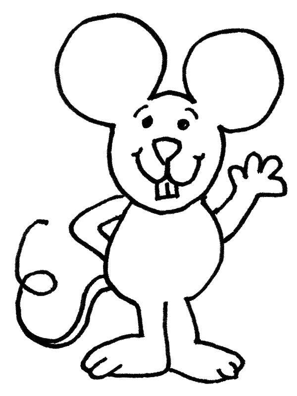 Название: Раскраска Мышка. Категория: мышка. Теги: мышка.