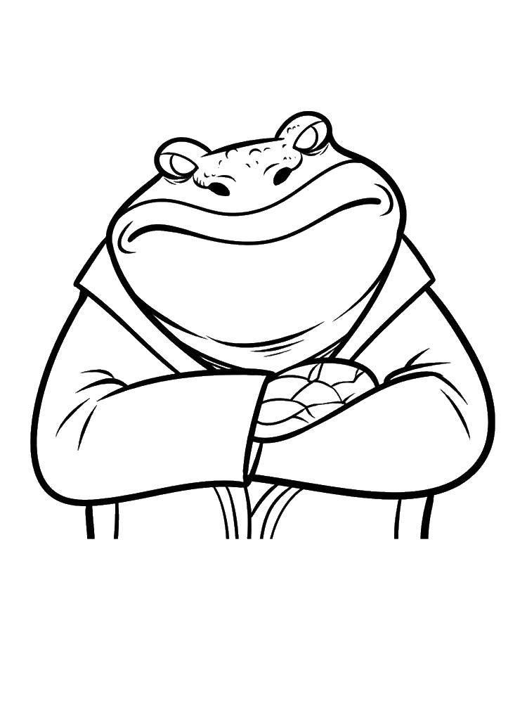 Coloring Serious toad. Category the frog. Tags:  Reptile, frog.