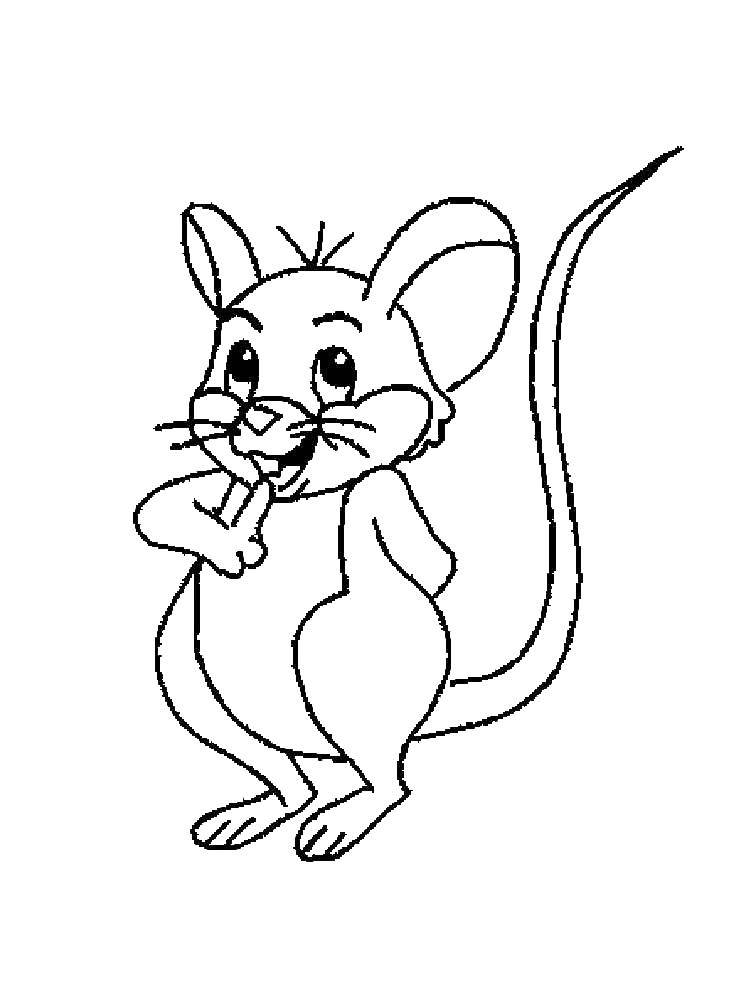 Название: Раскраска Симпатичный мышонок. Категория: мышка. Теги: Мышка, животные.