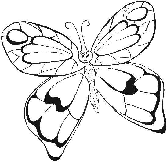 Coloring Butterfly with beautiful wings. Category butterfly. Tags:  Butterfly.