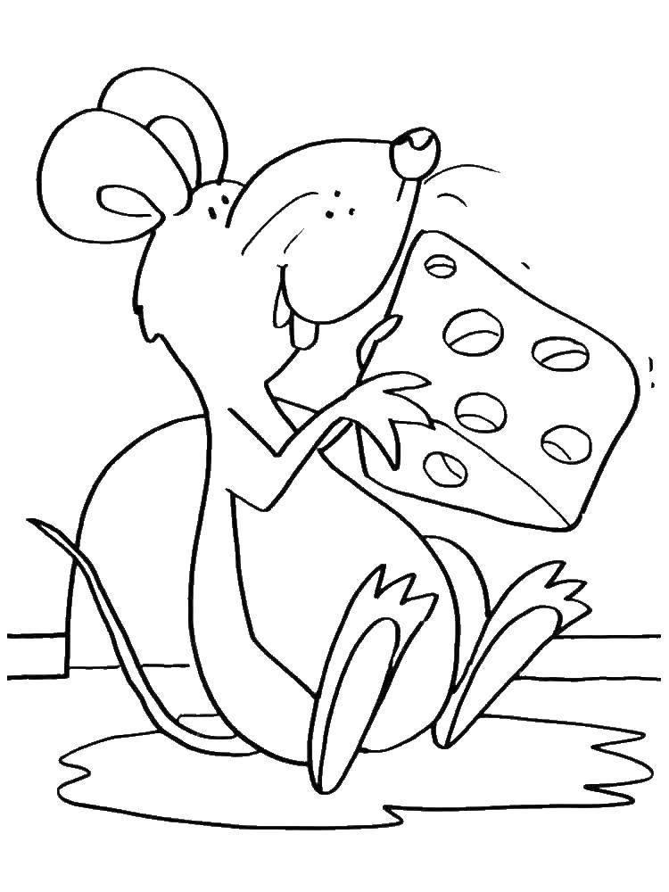 Название: Раскраска Довольный мышонок с сыром. Категория: мышка. Теги: Мышка, животные.