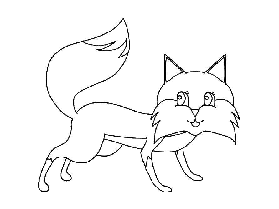 Coloring Fox. Category the Fox. Tags:  Fox, animals.