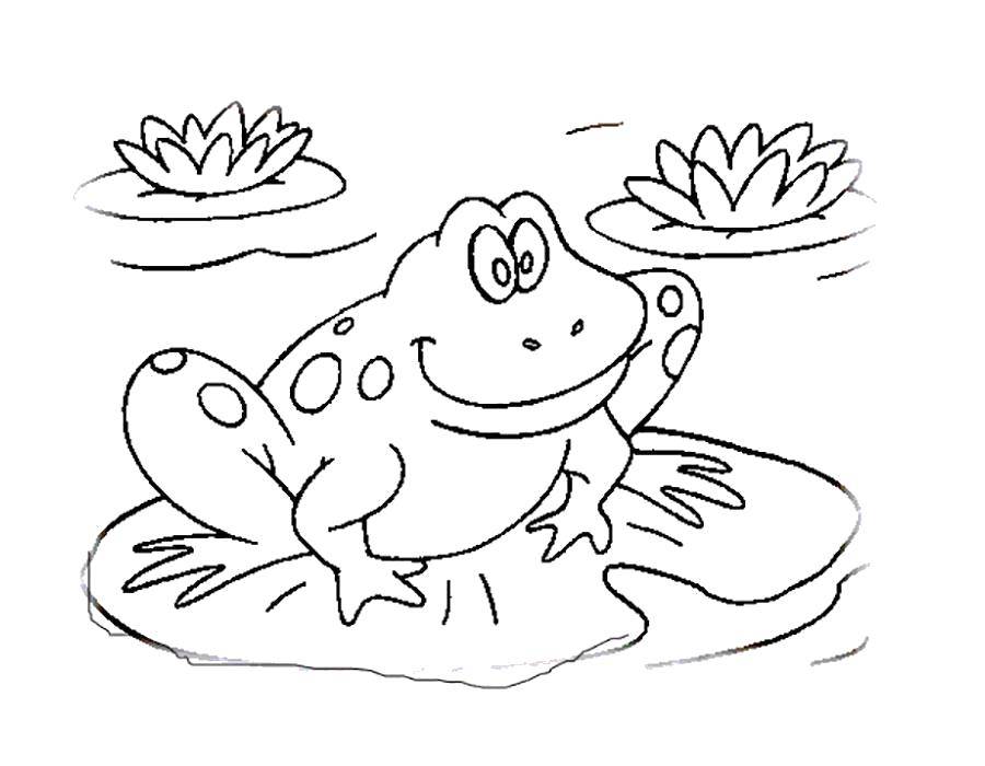 Coloring Frog on a Lily pad. Category the frog. Tags:  Reptile, frog.
