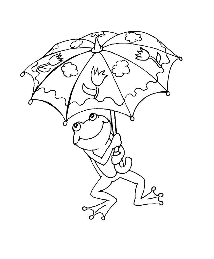 Название: Раскраска Лягушка под зонтом. Категория: лягушка. Теги: Рептилия, лягушка.