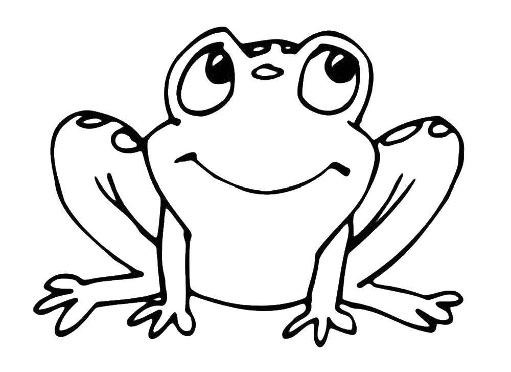 Coloring Dreamy frog. Category the frog. Tags:  Reptile, frog.