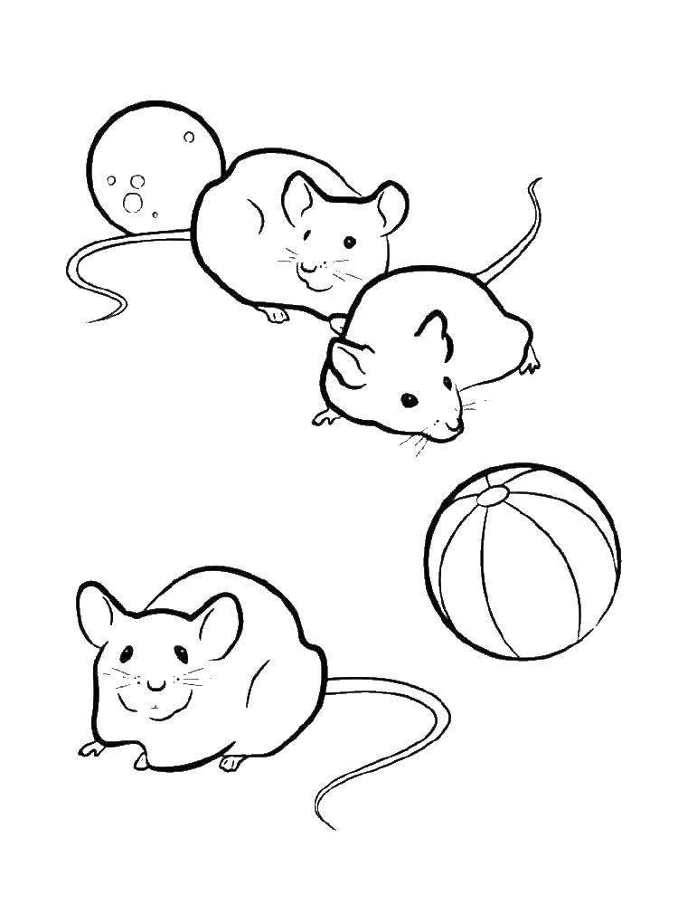Название: Раскраска Мышата с мячиком. Категория: мышка. Теги: Мышка, животные.