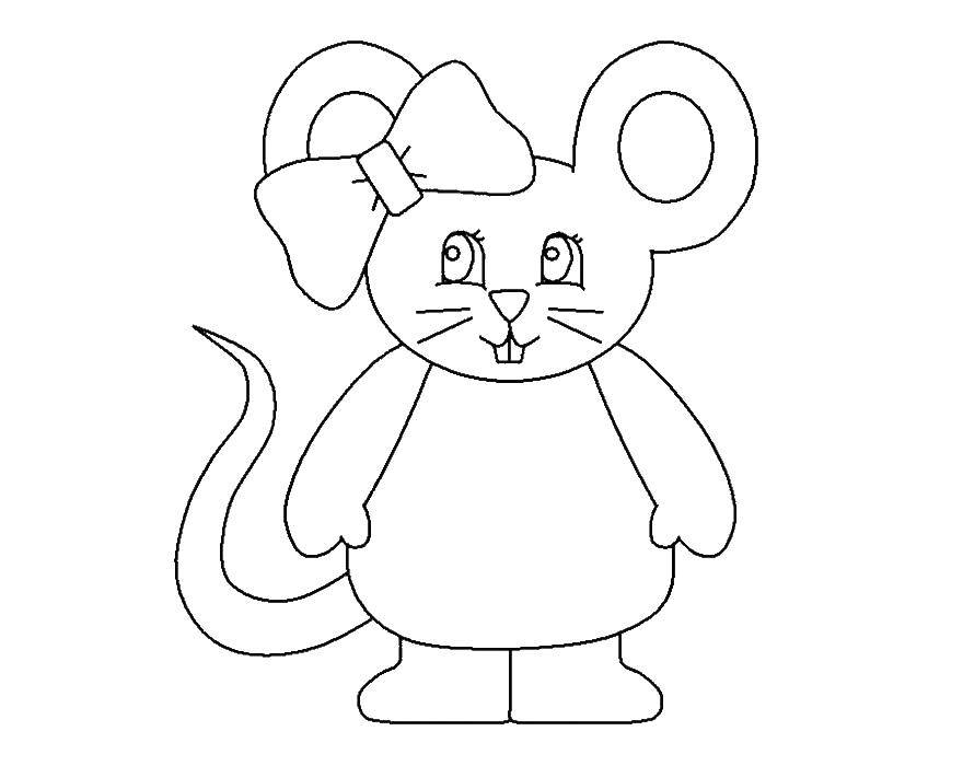 Название: Раскраска Мышка с бантиком. Категория: мышка. Теги: мышка, бант.