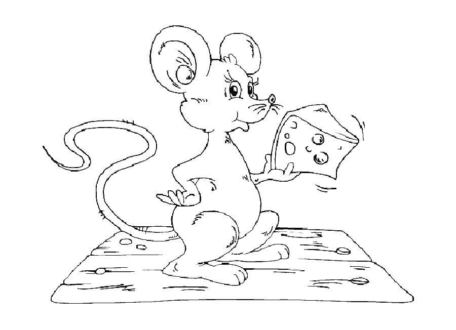 Название: Раскраска Мышка с сыром. Категория: мышка. Теги: мышка, сыр.