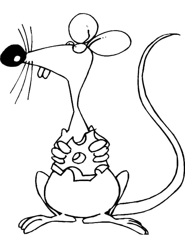 Название: Раскраска Мышонок с сыром. Категория: мышка. Теги: Мышка, животные.