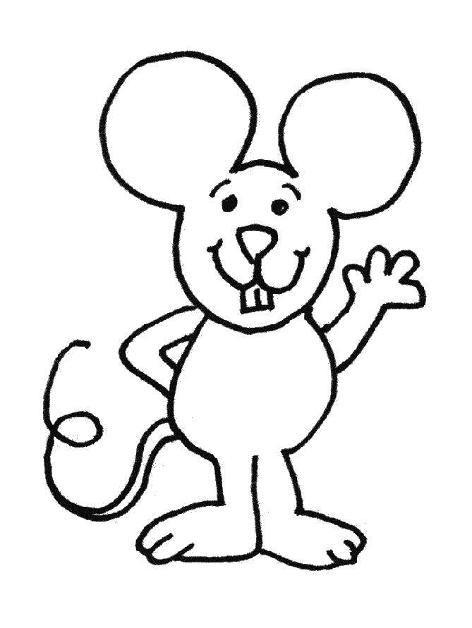 Название: Раскраска Приветливый мышонок. Категория: мышка. Теги: Мышка, животные.