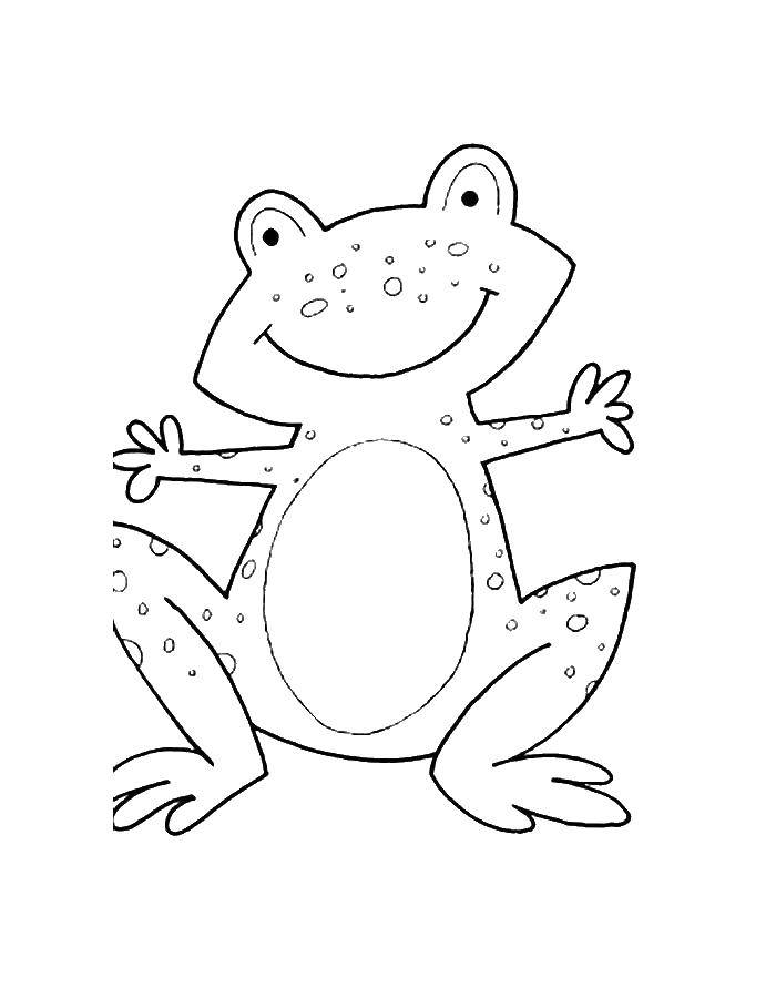 Coloring Joyful frog. Category the frog. Tags:  Reptile, frog.