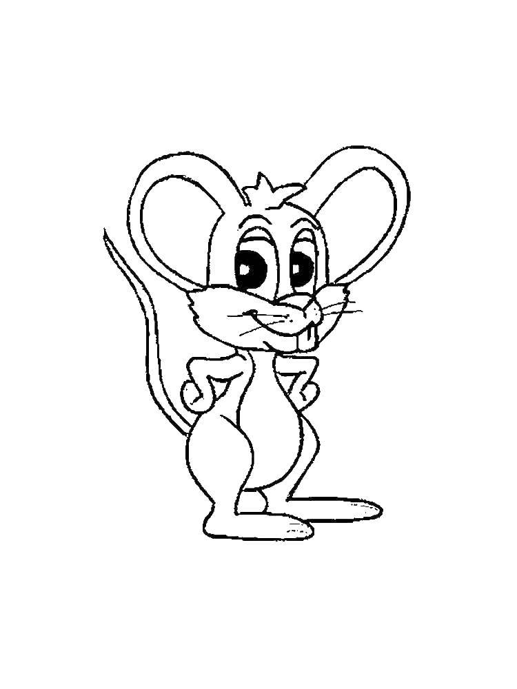 Название: Раскраска Зубастый мышонок. Категория: мышка. Теги: Мышка, животные.