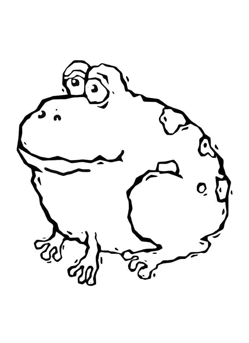 Название: Раскраска Большая жаба. Категория: лягушка. Теги: Рептилия, лягушка.