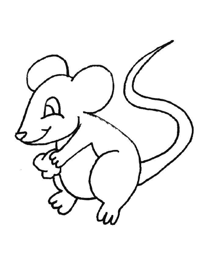 Название: Раскраска Довольный мышонок. Категория: мышка. Теги: Мышка, животные.