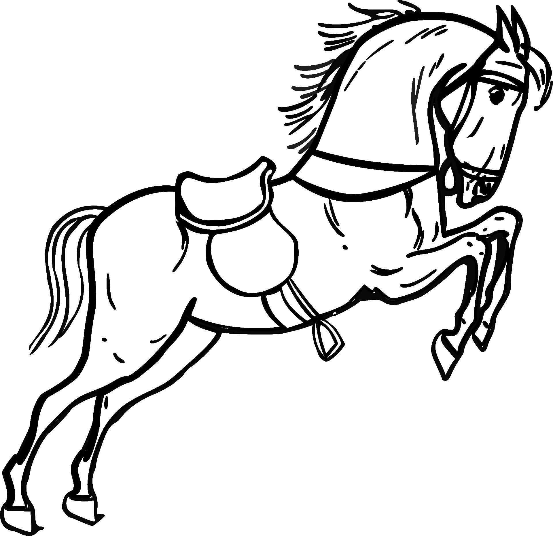 Coloring Graceful horse. Category Animals. Tags:  Animals, horse.