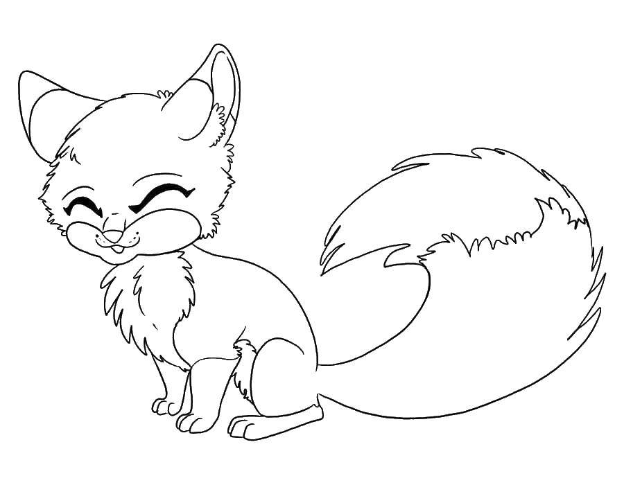 Coloring Fox. Category the Fox. Tags:  the Fox.