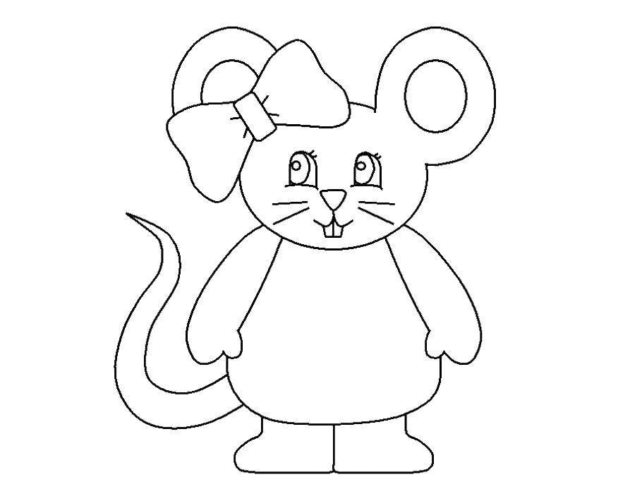 Название: Раскраска Милая мышка с банитиком. Категория: мышка. Теги: Мышка, животные.