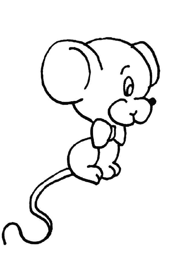 Название: Раскраска Мышонок малыш. Категория: мышка. Теги: Мышка, животные.