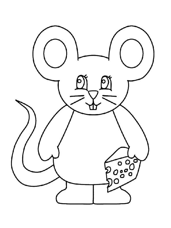 Название: Раскраска Мышонок с сыром. Категория: мышка. Теги: Мышка, животные.