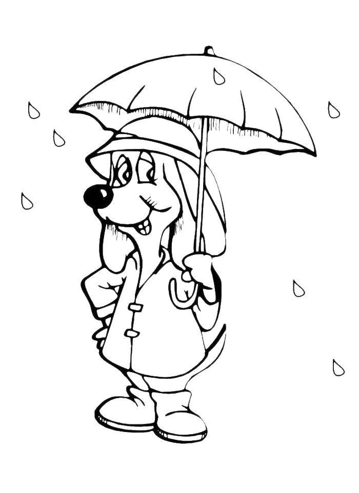 Название: Раскраска Собака под зонтом. Категория: зонт. Теги: зонтик, собака.